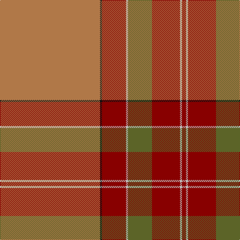 LT/200 K4 DR48 N4 G48 DR56 N4 DR/8 tartan Tartan detail