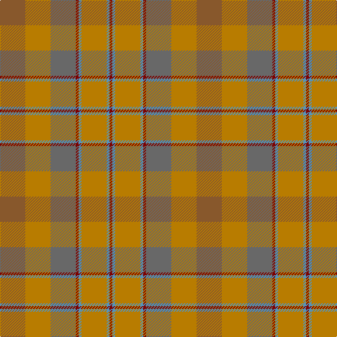 DR/4 B4 DY36 B4 DR4 N36 DY36 LT/36 tartan Tartan detail