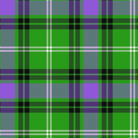 P/52 G12 K16 G6 K16 G60 W6 G/6 tartan Tartan detail