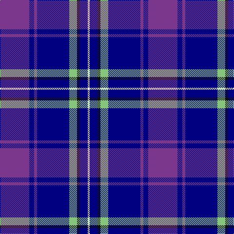 P/60 DB10 P6 DB66 LG16 K6 DB16 W/4 tartan Tartan detail