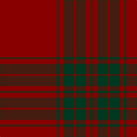 DR/200 DG8 DR16 DG36 DR6 DG36 DR16 DG/8 tartan Tartan detail