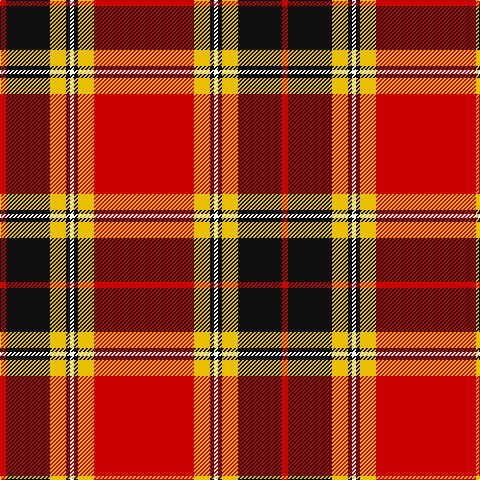 R/6 K44 Y16 K4 W4 K4 Y16 R/100 tartan Tartan detail