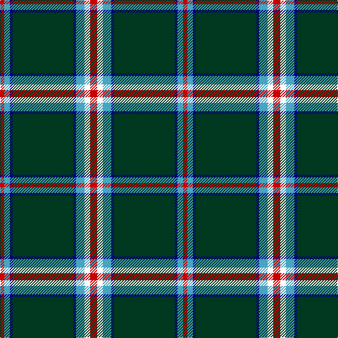 R/6 B8 DB4 DG86 DB4 B12 W8 R/10 tartan Tartan detail