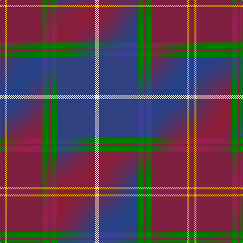 DR/10 Y4 DR70 G12 DR4 G12 B76 LN/8 tartan Tartan detail