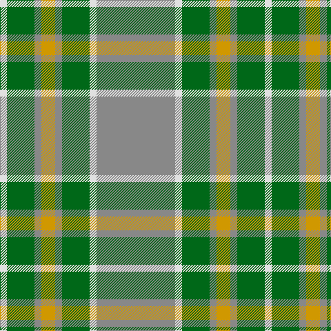 LN/10 G40 N10 DY20 N10 G40 LN10 N/114 tartan Tartan detail