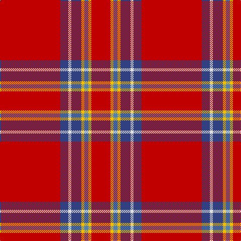 R/120 B16 LN6 B20 Y6 Ba8 Y6 R/38 tartan Tartan detail