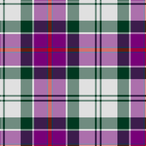 LN/10 DG6 LN52 DG38 LN6 P42 DB4 R/12 tartan Tartan detail