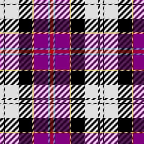 LN/12 K4 LN46 K46 Y4 P48 B6 R/12 tartan Tartan detail