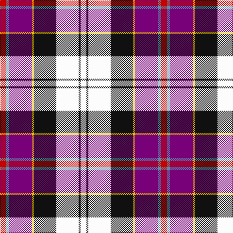 R/12 B6 P48 Y4 K46 W46 K4 W/12 tartan Tartan detail