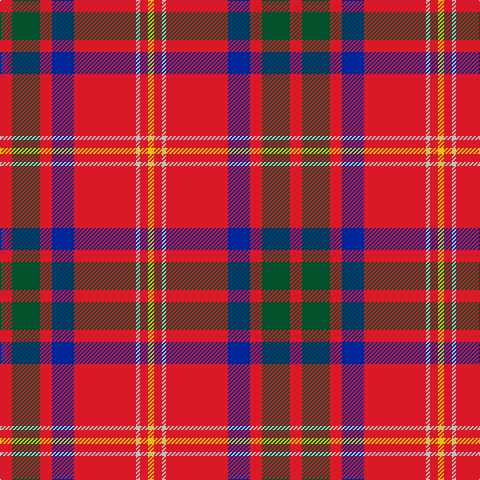 R/12 G28 R12 DB22 R62 N4 R8 Y/6 tartan Tartan detail