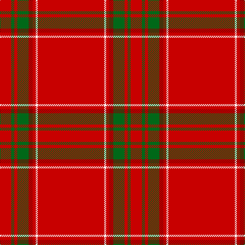 R/22 G6 R6 G22 DR8 R6 W4 R/130 tartan Tartan detail