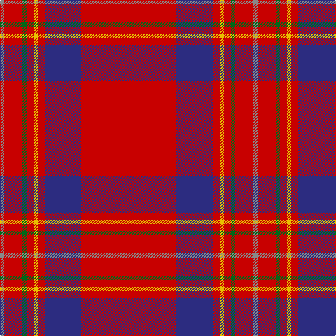 N/6 R26 G6 R10 Y6 R10 DB52 R/136 tartan Tartan detail