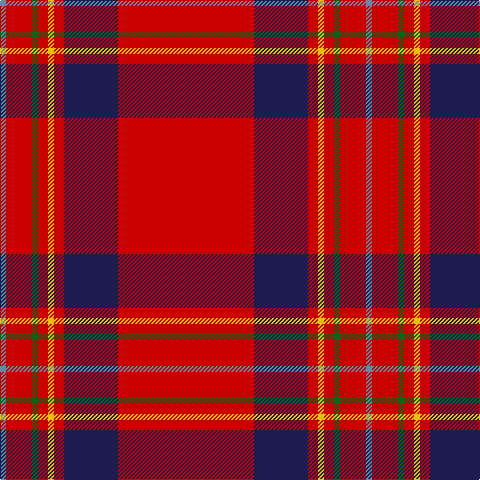 B/6 R26 G6 R10 Y6 R10 DB54 R/136 tartan Tartan detail