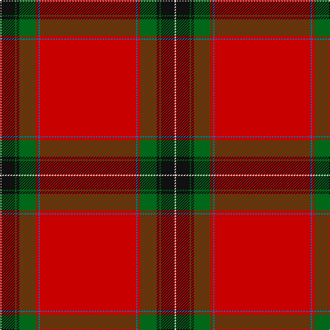 LN/2 K20 G2 K4 G24 R4 B2 R/140 tartan Tartan detail