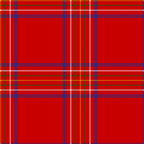 DY/4 R12 G4 R12 W4 R12 DB12 R/150 tartan Tartan detail