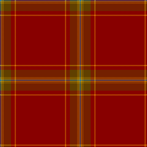 B/4 DY4 T2 DY2 T24 DR12 O4 DR/160 tartan Tartan detail