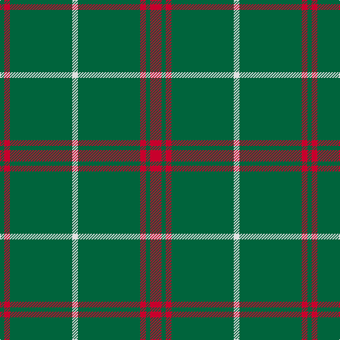 G/6 R8 G88 LN8 G88 R8 G6 R/16 tartan Tartan detail