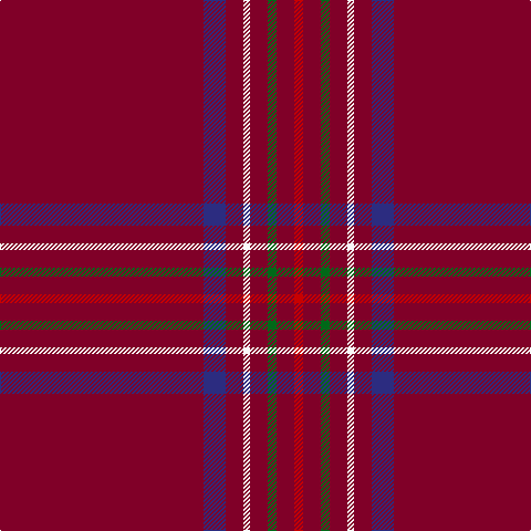 DR/184 DB20 DR16 W6 DR16 G8 DR16 R/8 tartan Tartan detail