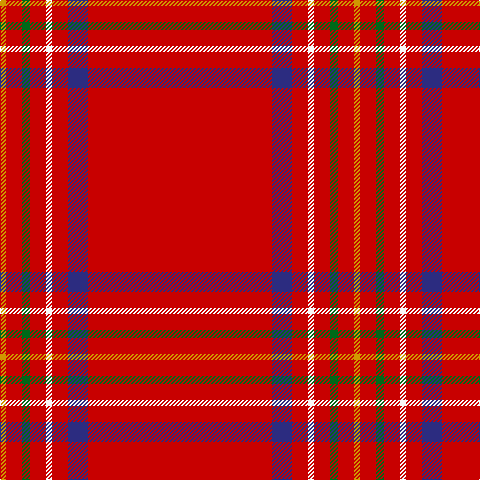 DY/6 R16 G8 R16 W6 R16 DB20 R/184 tartan Tartan detail