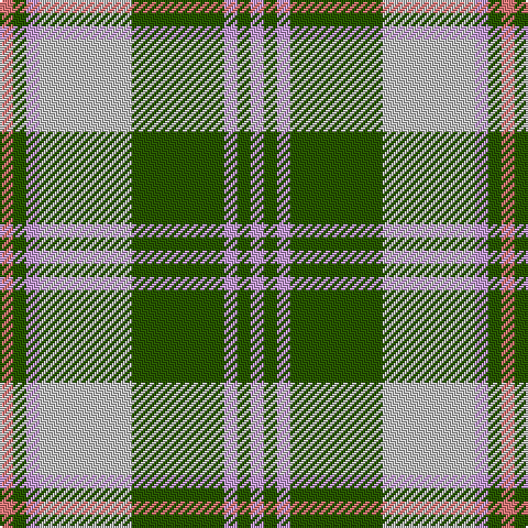 LR/6 G6 LP6 N42 G42 LP6 G6 LP/6 tartan Tartan detail