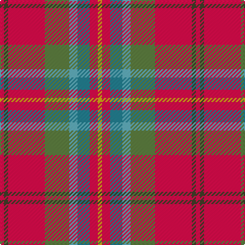 R/4 T4 R36 G24 B8 Ba12 R8 Y/4 tartan Tartan detail
