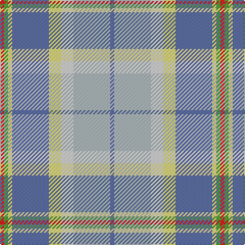 B/4 N36 LN12 LY12 B36 LY4 LG4 R/4 tartan Tartan detail