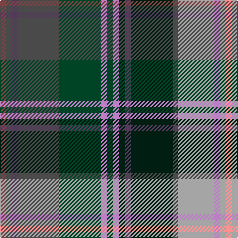 LR/6 N6 LP6 N42 DG42 LP6 DG6 LP/6 tartan Tartan detail