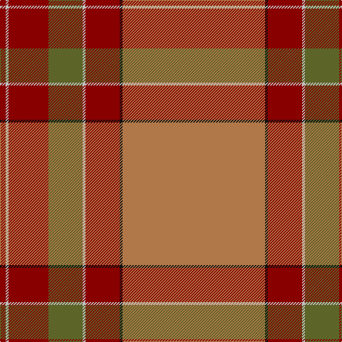 DR/8 N4 DR56 G48 N4 DR48 K4 LT/200 tartan Tartan detail