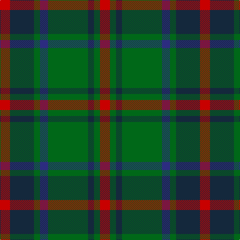 R/20 DN48 G12 DB16 G80 DN12 G12 R/20 tartan Tartan detail