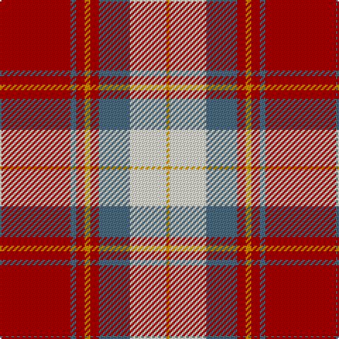 DR/50 N4 DR6 DY4 DR6 N22 W26 DY/2 tartan Tartan detail