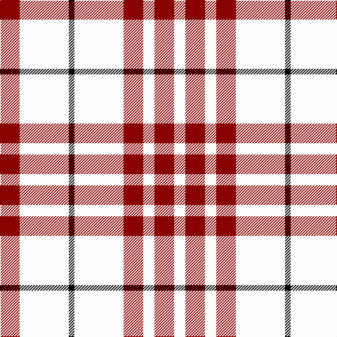 DR/28 W70 K8 W70 DR28 W16 DR28 W/16 tartan Tartan detail