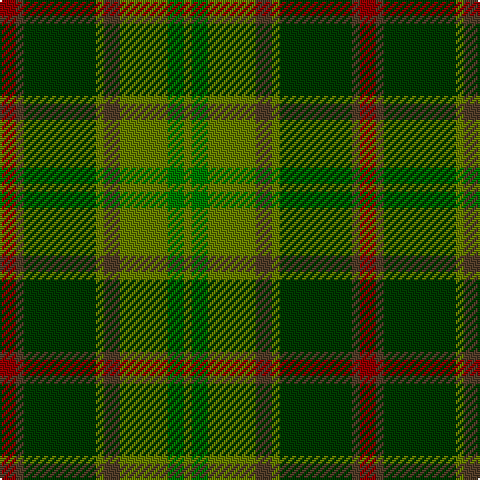 DR/8 T4 G36 Ga4 T8 Ga24 Gb8 Ga/4 tartan Tartan detail