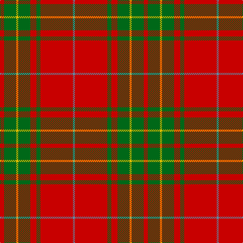 R/8 G24 Y4 G24 R12 G8 R64 B/4 tartan Tartan detail