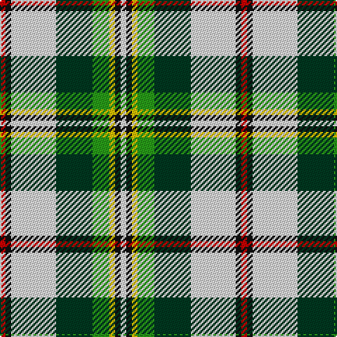 R/4 K4 LN32 DG26 G12 Y4 K4 LN/4 tartan Tartan detail
