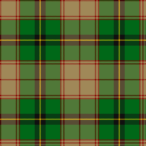 DR/4 LT48 DR4 LT6 DR4 G48 K16 Y/4 tartan Tartan detail