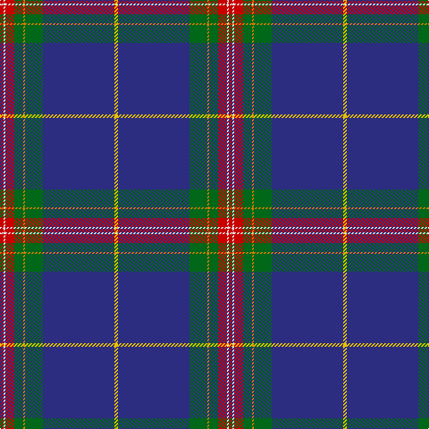 R/4 LN2 R10 G10 O2 G20 DB80 Y/4 tartan Tartan detail