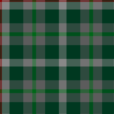 DRa/8 Nb32 DG58 Na38 G16 Na38 DG58 Nb/32 tartan Tartan detail