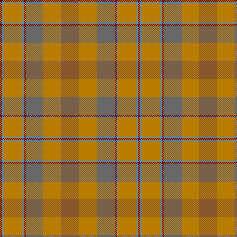 DR/4 B4 DY36 B4 DR4 N36 DY36 LT/36 tartan Tartan detail