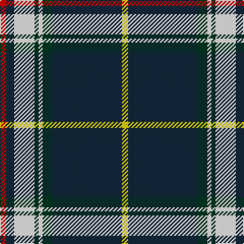 R/6 DN8 W20 DG4 W4 DG10 DN68 Y/6 tartan Tartan detail