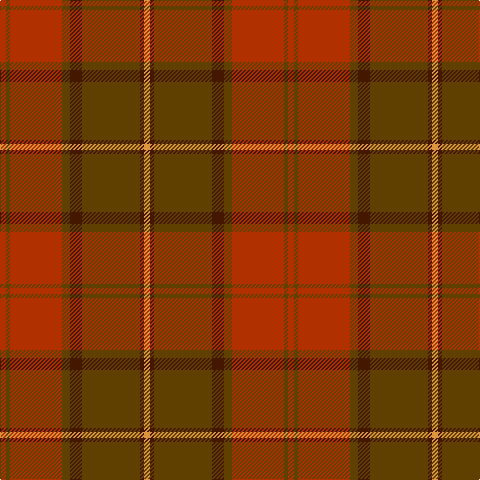 R/6 Ta4 R52 Ta8 DR12 T58 DR4 O/6 tartan Tartan detail