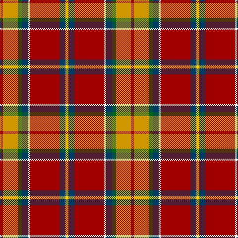 DR/6 DY30 G8 DB12 W4 DR60 DB12 Y/6 tartan Tartan detail