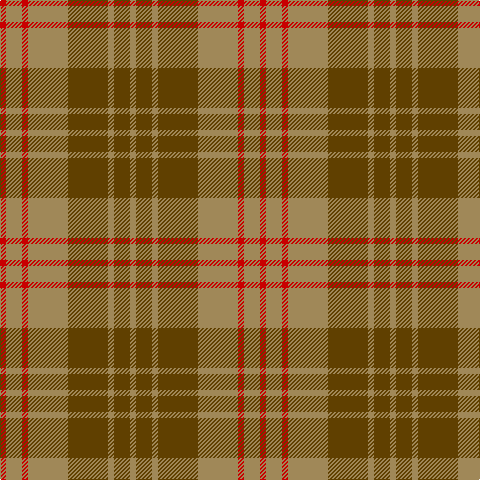 R/6 LT16 R6 LT40 T40 LT6 T16 LT/6 tartan Tartan detail