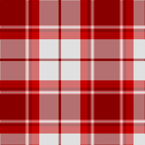DR/84 LR4 LN4 LR4 DR10 R24 LN64 DR/8 tartan Tartan detail