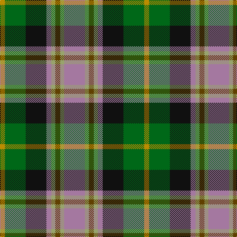 DY/10 G42 K42 LP10 LT8 T10 LT8 LP/42 tartan Tartan detail