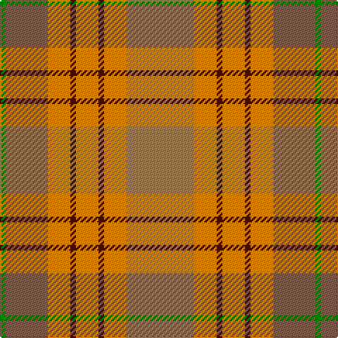 G/4 LTa30 O16 DR4 O16 DR4 O16 LT/48 tartan Tartan detail