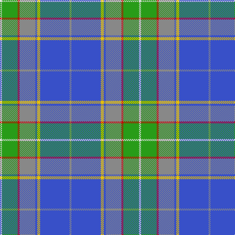 LN/4 G32 R4 N32 B4 Y6 B60 N/4 tartan Tartan detail