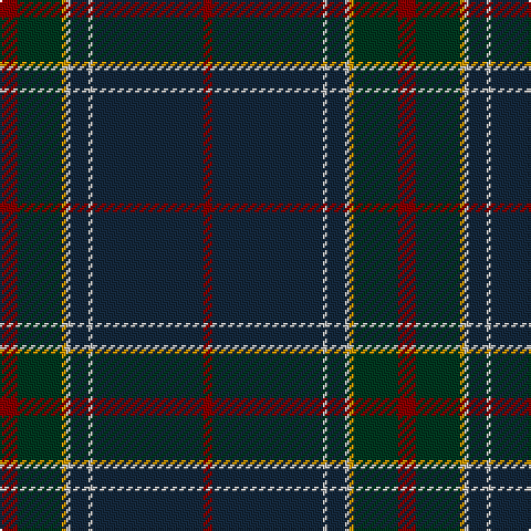 DR/8 DG20 DY2 N2 DN8 N2 DN50 DR/4 tartan Tartan detail