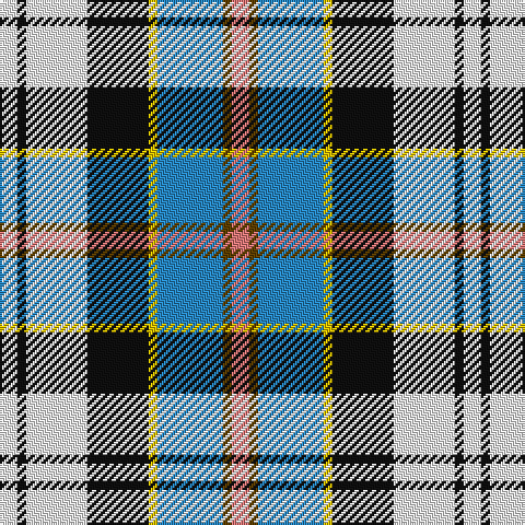 W/8 K4 W28 K28 Y4 B30 T4 LR/8 tartan Tartan detail