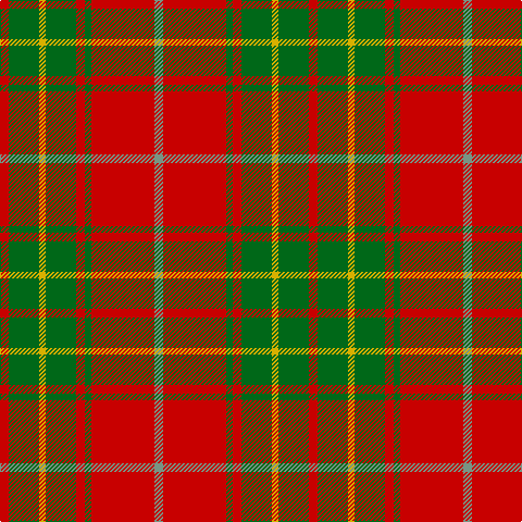 R/8 G28 Y6 G28 R8 G6 R58 LG/8 tartan Tartan detail