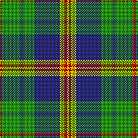 R/4 G32 DB4 G20 DB44 Y8 R4 Y/4 tartan Tartan detail
